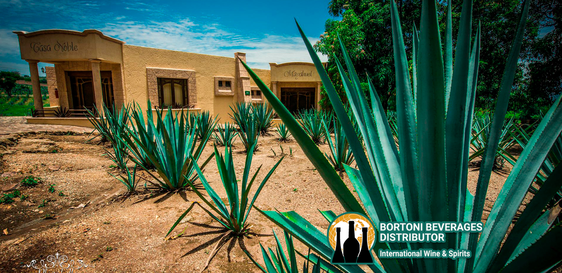 lorem ipsum dolor sit